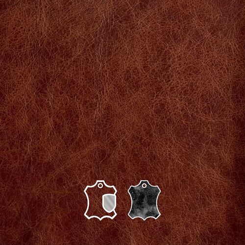 Durable Corrected Grain

Scratch Resistant, Natural Variation

Full grain corrected leather is a luxurious choice for pet and family-friendly furniture. Its durable top layer is corrected to minimize imperfections, making it resistant to scratches and stains. This leather is easy to clean, ensuring it withstands the everyday wear and tear of family life, including playful pets. Its natural beauty and rich patina develop over time, adding character to your home.