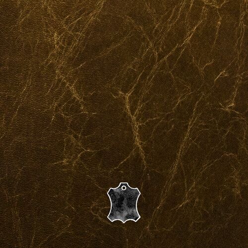 Distressed Leather

Natural Variation

Galveston is a new distressed leather which we have added to our Old Vintage Aniline range. This leather has an aged effect which creates a rustic look which works well with Chesterfield style sofas.