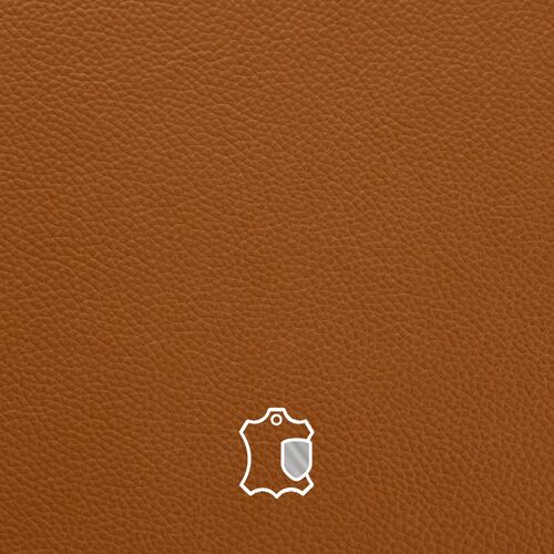 Smooth Pigmented Leather

Soft Touch

Shelley leather is a durable, corrected-grain hide with a pigmented topcoat and an embossed, consistent grain pattern. Carefully finished for a smooth, even surface, it offers long-lasting performance while maintaining a soft, supple feel. Its uniform appearance makes it ideal for contemporary interiors requiring both elegance and resilience.